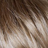 Blond/Grey/Root