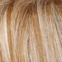 Blond-Grey-Root